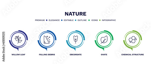 set of nature thin line icons. nature outline icons with infographic template. linear icons such as willow leaf, falling debris, obcordate, ovate, chemical structure vector.