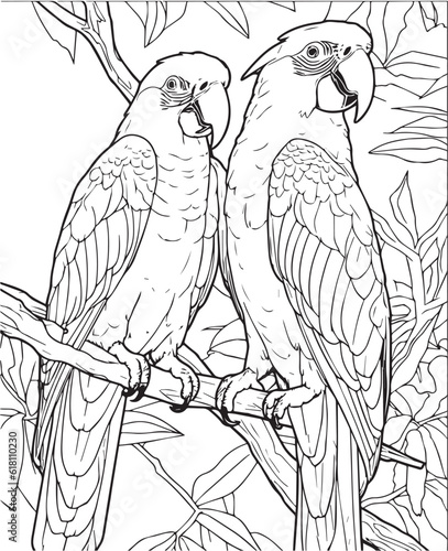 Vector hand drawn cute parrots in jungle outline illustration. Coloring page for kids and adults. Print design, t-shirt design, tattoo design, mural art, line art.