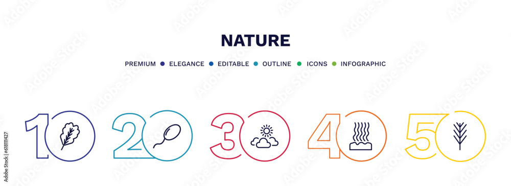 set of nature thin line icons. nature outline icons with infographic template. linear icons such as oak leaf, fertilize clinic, sunny protic, fasciculate, pine leaf vector. set of nature thin line icons. nature outline icons with infographic template. linear icons such as oak leaf, fertilize clinic, sunny protic, fasciculate, pine leaf vector.