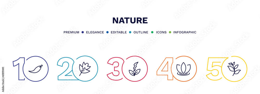 set of nature thin line icons. nature outline icons with infographic template. linear icons such as falcate, hawthorn leaf, natural energy, asian, willow leaf vector. set of nature thin line icons. nature outline icons with infographic template. linear icons such as falcate, hawthorn leaf, natural energy, asian, willow leaf vector.