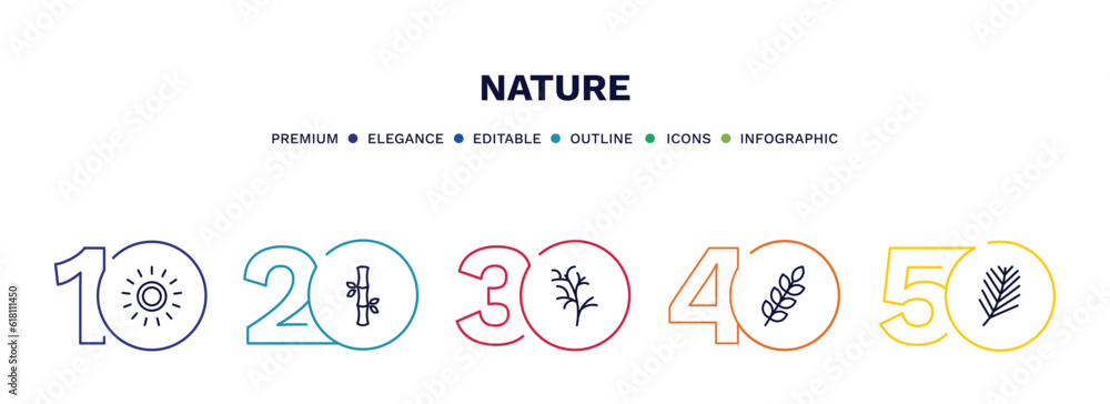 set of nature thin line icons. nature outline icons with infographic template. linear icons such as sol, bamboo sticks, cypress leaf, briar leaf, pine needle vector. set of nature thin line icons. nature outline icons with infographic template. linear icons such as sol, bamboo sticks, cypress leaf, briar leaf, pine needle vector.
