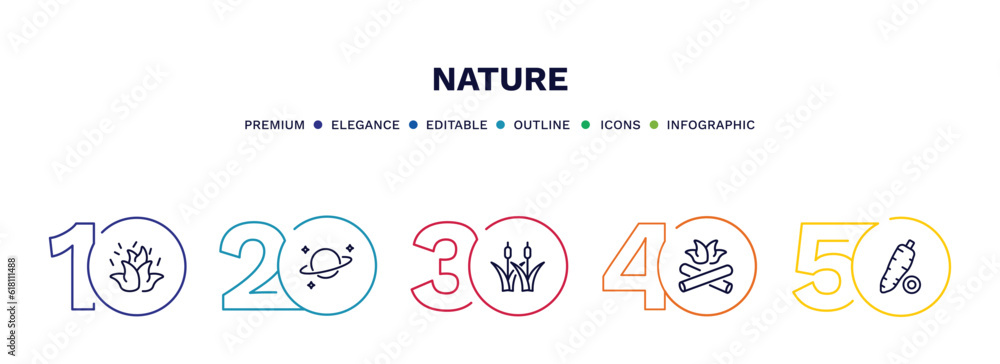 set of nature thin line icons. nature outline icons with infographic template. linear icons such as burning flames, planet with satellite, reed bed, camping bonfire, yucca vector. set of nature thin line icons. nature outline icons with infographic template. linear icons such as burning flames, planet with satellite, reed bed, camping bonfire, yucca vector.