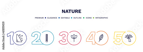 set of nature thin line icons. nature outline icons with infographic template. linear icons such as falling debris, escuamiforme, sassafras leaf, lanceolate, coconut tree standing vector. photo