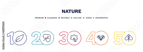 set of nature thin line icons. nature outline icons with infographic template. linear icons such as orange leaf, cordate, grape leaf, plum leaf, linden vector.