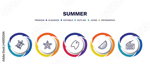 set of summer thin line icons. summer outline icons with infographic template. linear icons such as sea turtle, sea star, bodyboard, slice of melon, funicular vector.