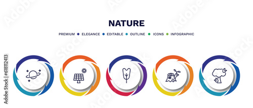 set of nature thin line icons. nature outline icons with infographic template. linear icons such as planet with satellite, solar, obcordate, stump house, pine tree on fire vector.