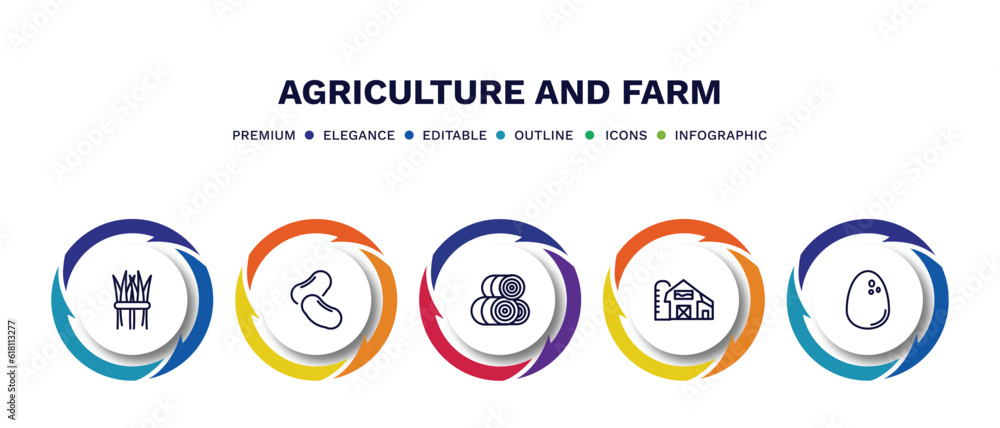 Fototapeta premium set of agriculture and farm thin line icons. agriculture and farm outline icons with infographic template. linear icons such as hay, legume, hay roll, barn, egg vector.