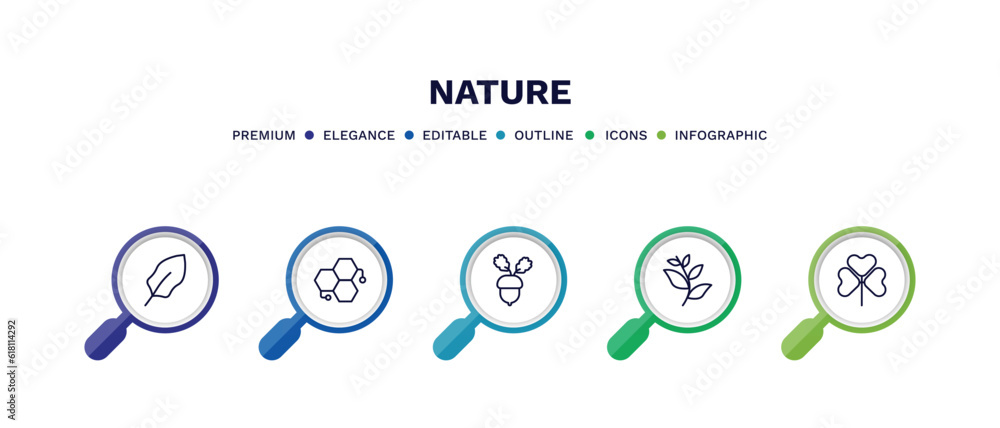 set of nature thin line icons. nature outline icons with infographic template. linear icons such as magnolia leaf, chemical structure, nut leaf, willow leaf, trifoliate ternate vector. set of nature thin line icons. nature outline icons with infographic template. linear icons such as magnolia leaf, chemical structure, nut leaf, willow leaf, trifoliate ternate vector.