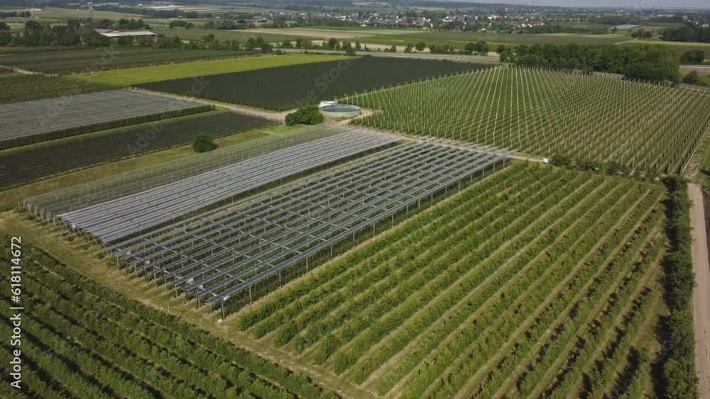 Aerial View Of Agriculture Farm Using Agrivoltaics System - drone shot Aerial View Of Agriculture Farm Using Agrivoltaics System - drone shot