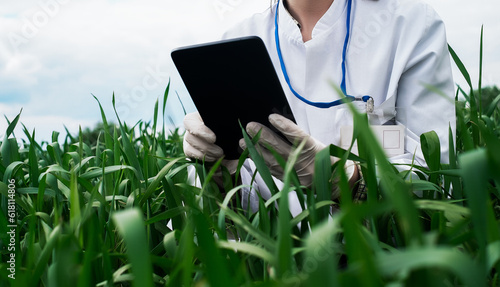 No face person Businessman hold tablet touch pad computer Botanic scientist man wear shirt Copy space for inscription Experienced agronomist examining wheat grain in field Takes readings Agribusiness