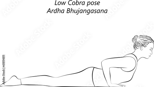 Sketch of young woman practicing yoga, doing Low Cobra pose or Baby Cobra pose. Ardha Bhujangasana. Backbend. Prone and Backbend. Beginner. Isolated vector illustration.