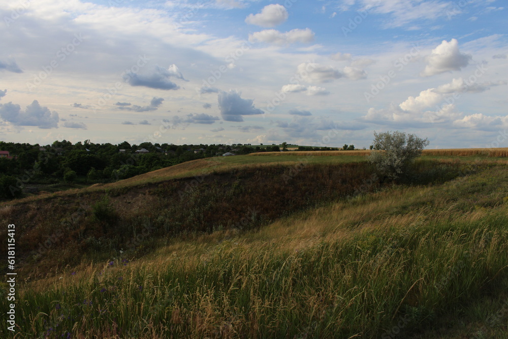 A grassy field with trees in the background A grassy field with trees in the background