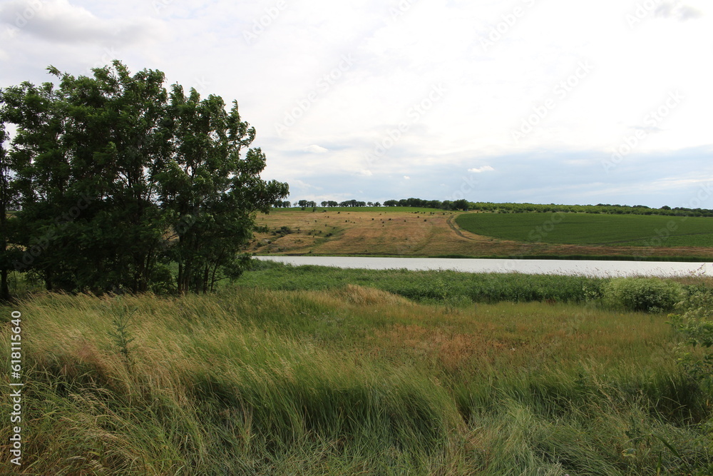 A grassy field with trees and a body of water in the distance