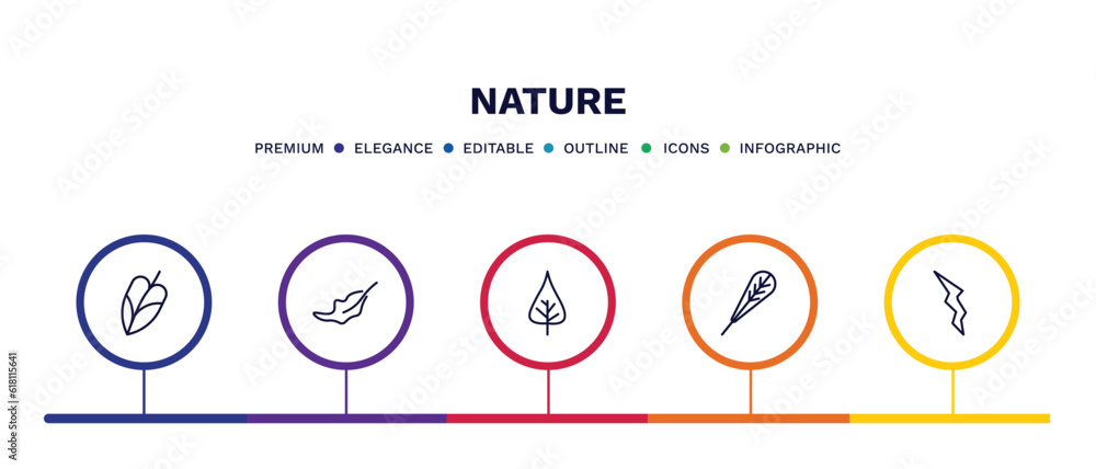 set of nature thin line icons. nature outline icons with infographic template. linear icons such as philodendron, dry leaf, poplar leaf, obovate, element vector. set of nature thin line icons. nature outline icons with infographic template. linear icons such as philodendron, dry leaf, poplar leaf, obovate, element vector.