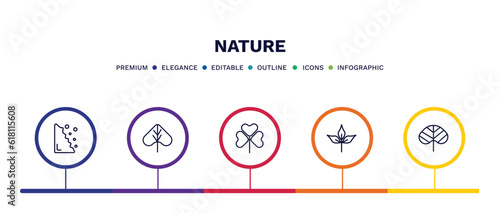 set of nature thin line icons. nature outline icons with infographic template. linear icons such as falling debris, linden leaf, trifoliate ternate, pinnation, reniform vector.