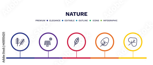 set of nature thin line icons. nature outline icons with infographic template. linear icons such as yew leaf, solar, lanceolate, apricot leaf leaf, cordate vector.