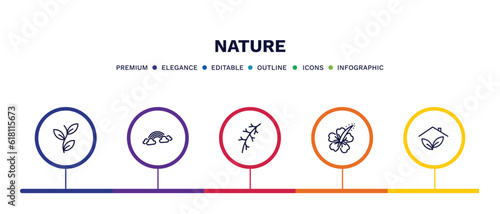 set of nature thin line icons. nature outline icons with infographic template. linear icons such as perfoliate, rainbow behind a cloud, larch leaf, hibiscus, indoor vector.