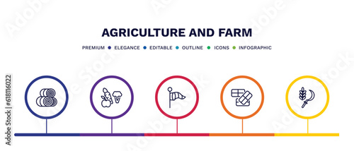 set of agriculture and farm thin line icons. agriculture and farm outline icons with infographic template. linear icons such as hay roll, vegetable, vane, bale, harvest vector.