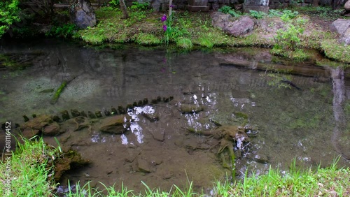 緑豊かな古刹・深大寺