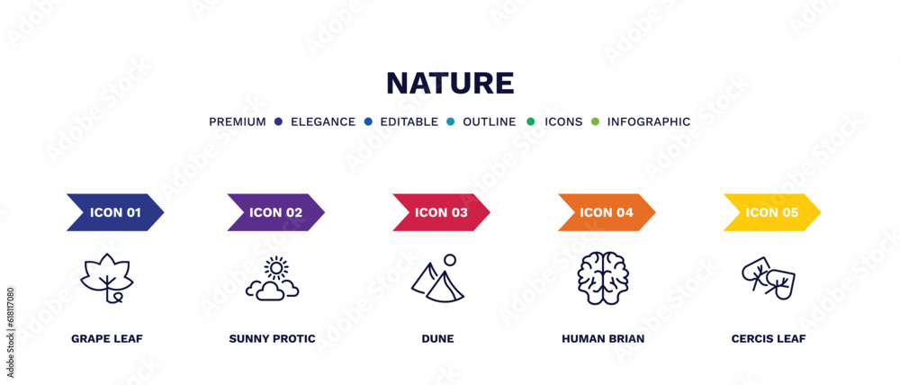 set of nature thin line icons. nature outline icons with infographic template. linear icons such as grape leaf, sunny protic, dune, human brian, cercis leaf vector. set of nature thin line icons. nature outline icons with infographic template. linear icons such as grape leaf, sunny protic, dune, human brian, cercis leaf vector.