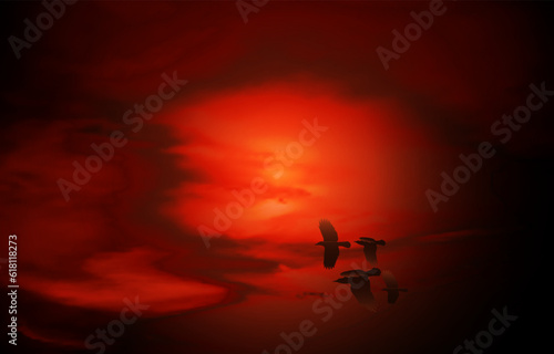  bird flying in the red sky, nature vector background.