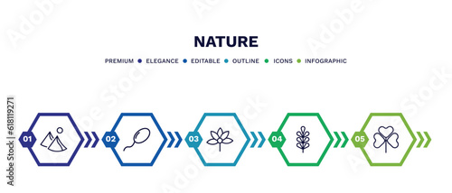 set of nature thin line icons. nature outline icons with infographic template. linear icons such as dune, fertilize clinic, palmatelly, pecan leaf, trifoliate ternate vector.