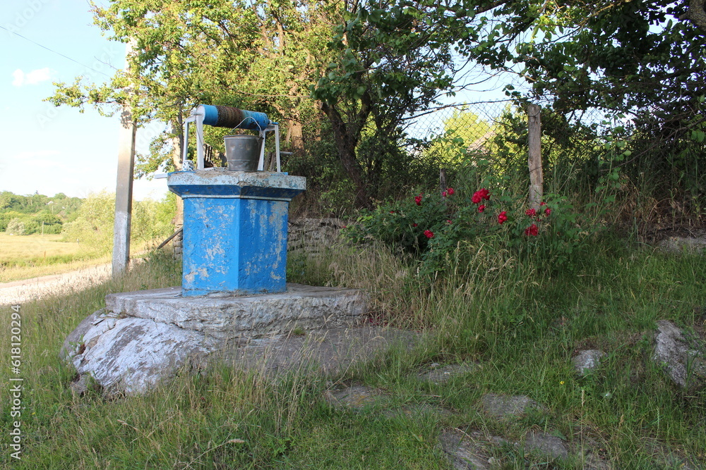 A blue bucket with red flowers in a garden A blue bucket with red flowers in a garden