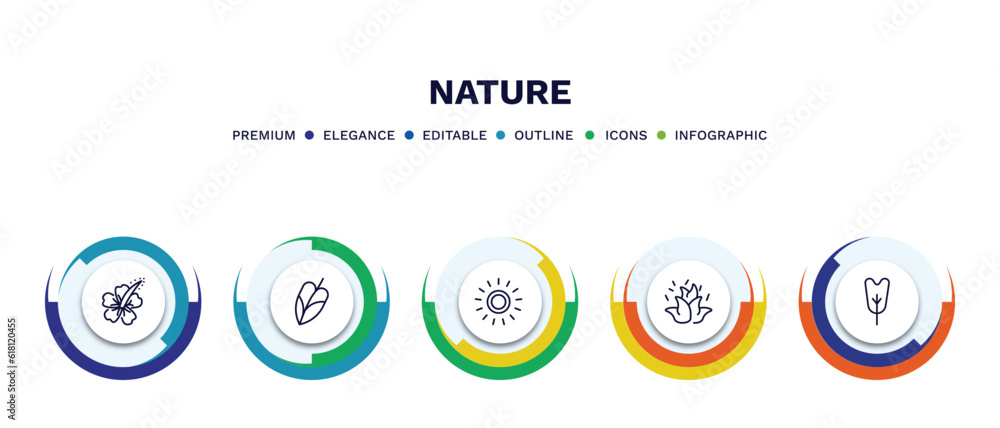 set of nature thin line icons. nature outline icons with infographic template. linear icons such as hibiscus, philodendron, sol, burning flames, obcordate vector. set of nature thin line icons. nature outline icons with infographic template. linear icons such as hibiscus, philodendron, sol, burning flames, obcordate vector.