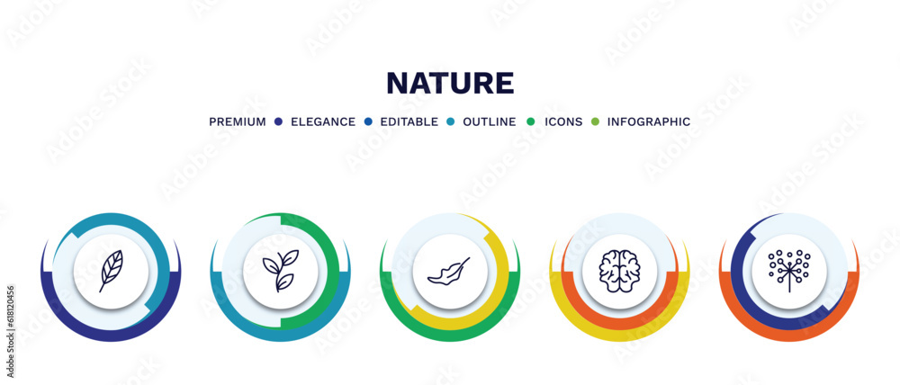 set of nature thin line icons. nature outline icons with infographic template. linear icons such as lanceolate, perfoliate, dry leaf, human brian, pollen vector.
