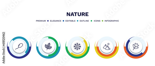 set of nature thin line icons. nature outline icons with infographic template. linear icons such as fertilize clinic, rowan leaf, big snowflake, dune, hawthorn leaf vector.