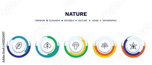 set of nature thin line icons. nature outline icons with infographic template. linear icons such as orbicular, linden leaf, amanita, palmatelly, chestnut leaf vector.
