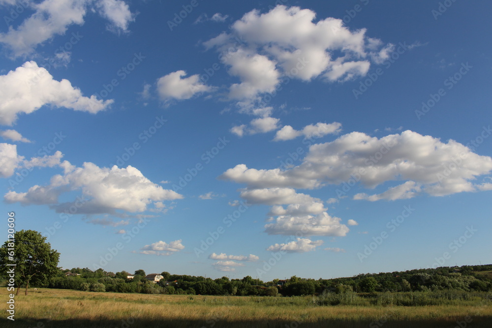 A grassy field with trees and blue sky with clouds A grassy field with trees and blue sky with clouds