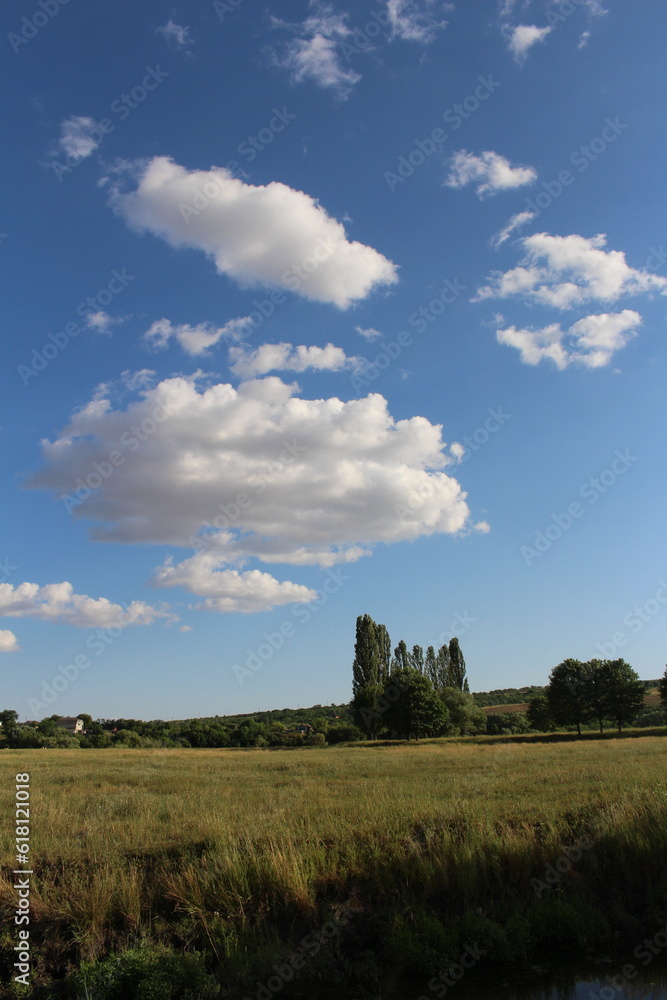 Obraz premium A field with trees and blue sky