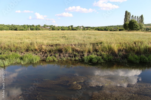 A river with grass and trees in the background