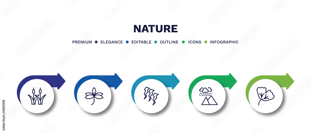 set of nature thin line icons. nature outline icons with infographic template. linear icons such as reed bed, sprig with five leaves, damaged, rainy landscape, ginkgo vector. set of nature thin line icons. nature outline icons with infographic template. linear icons such as reed bed, sprig with five leaves, damaged, rainy landscape, ginkgo vector.