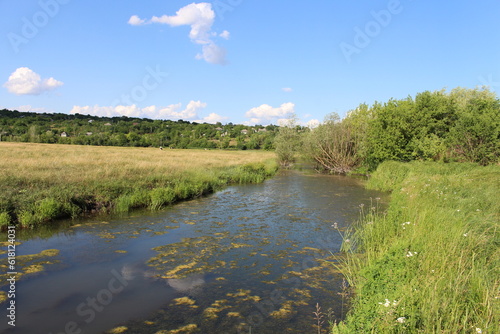 A river with trees and grass