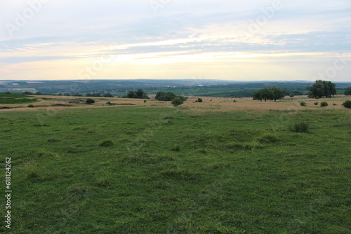 A grassy field with trees in the background