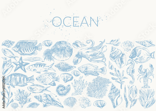 Sea life background wirh sea animals and fish illustration, octopus, nautilus, shells, seahorse, star fish, seaweed, corals