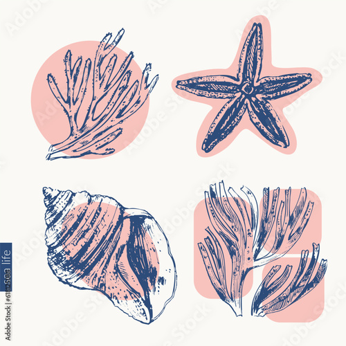 Vector ocean nature background with sketches of seashell, seaweed, corals, starfish