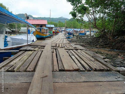 Magroves tour. Pulau Langkawi, Malaysia photo