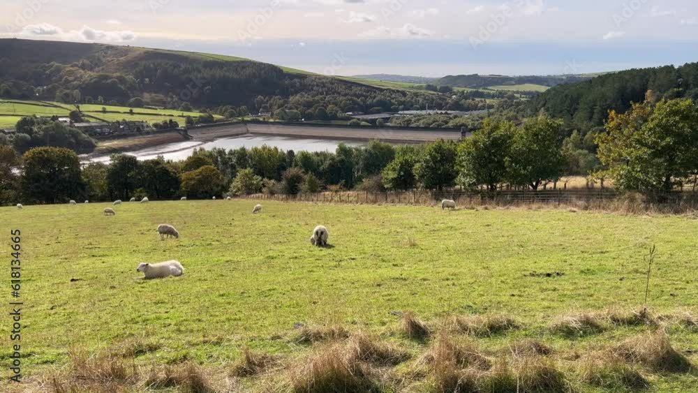 Reservoirs, set against a backdrop of moorland, woodlands and farmland pastures. Reservoirs, set against a backdrop of moorland, woodlands and farmland pastures.