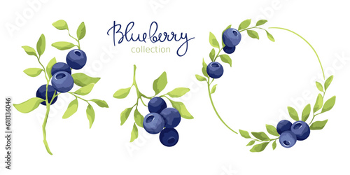 Blueberry - vector illustrations. Set of design elements with a branch with leaves and berries. Freehand drawing in watercolor style.
