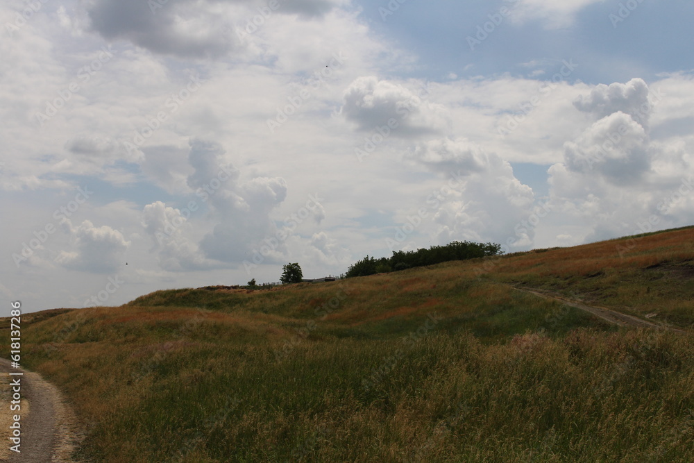 A grassy hill with trees on it