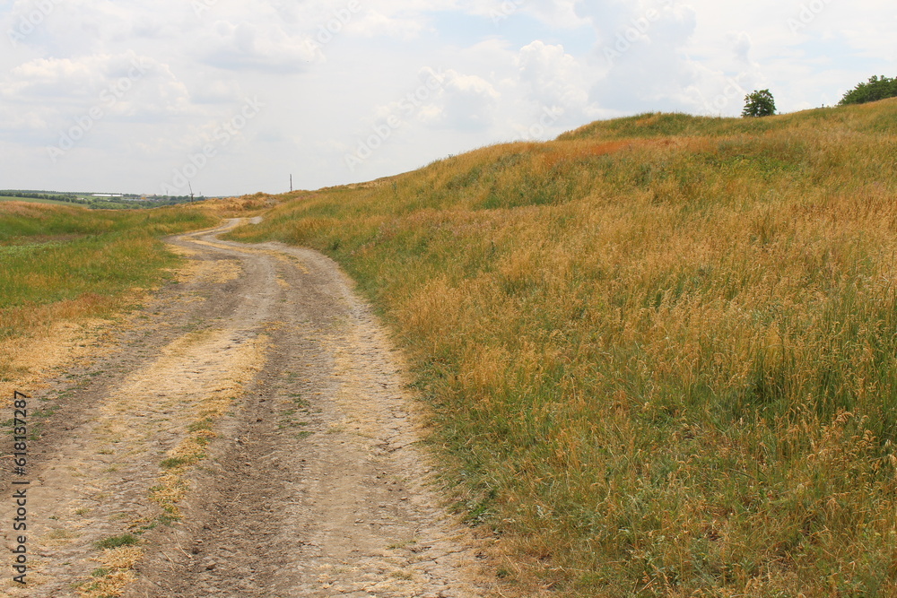 A dirt road in a grassy field