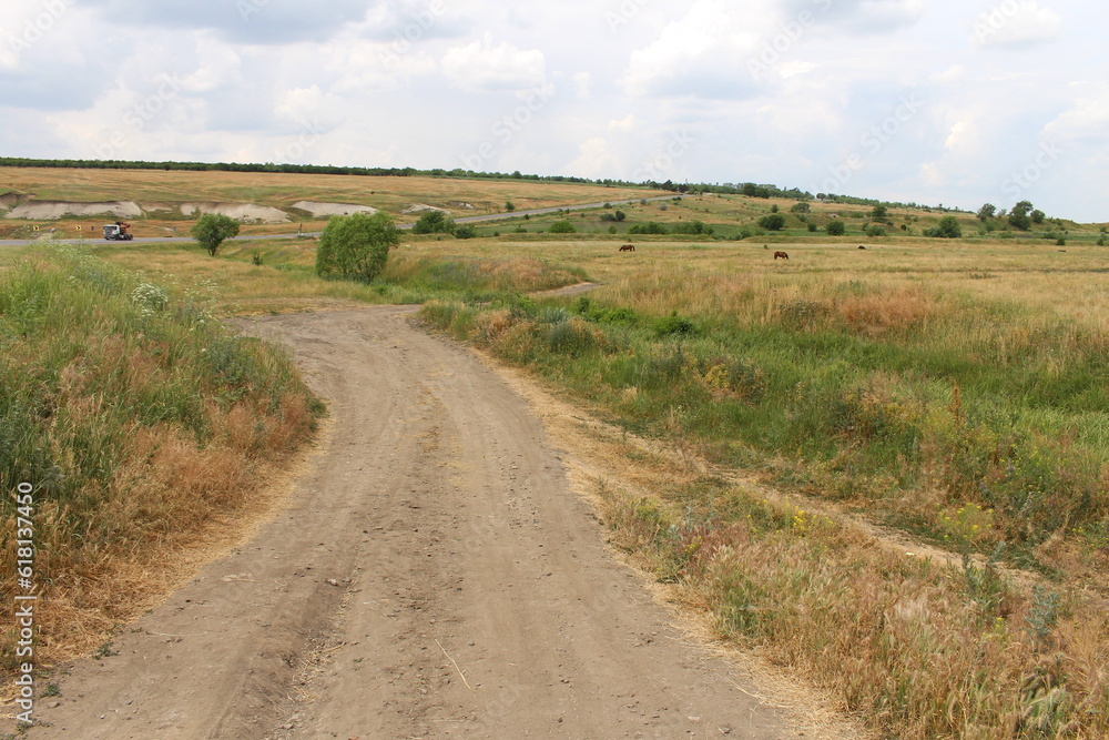 A dirt road in a field