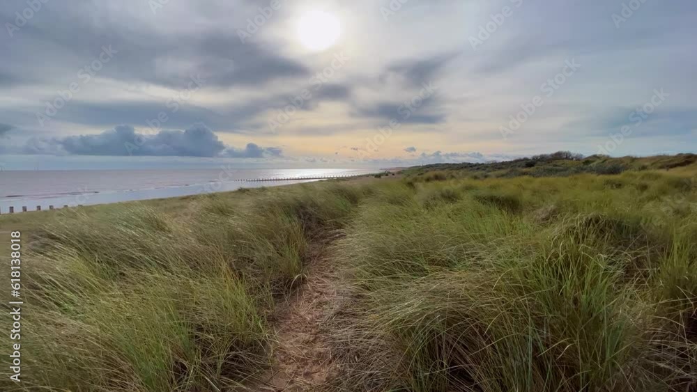 Beach scene with warm sunlight. Green tufts of Marram grass growing in the dunes Beach scene with warm sunlight. Green tufts of Marram grass growing in the dunes