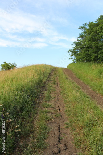 A dirt path through a field