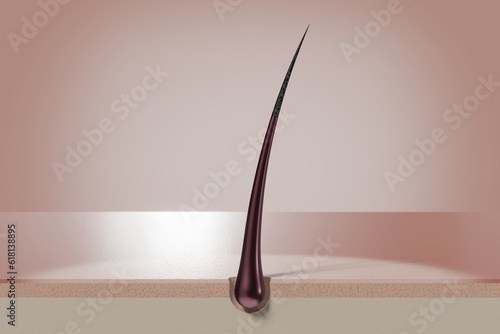 Single hair follicle - 3D illustration photo