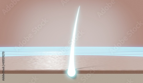 Obraz na plátně Glowing single hair follicle - regeneration concept - 3D illustration