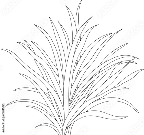 Leaves isolated on white collection. Tropical leaves hand drawn abstract illustration.